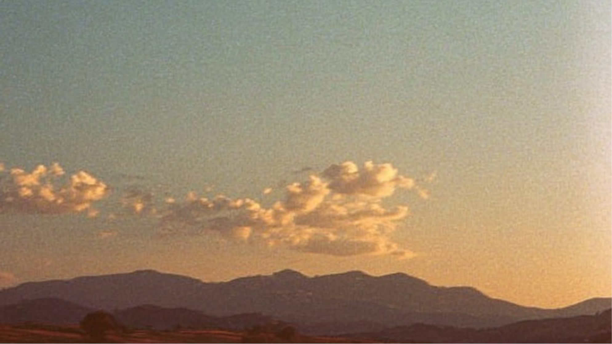 Confident person in nature